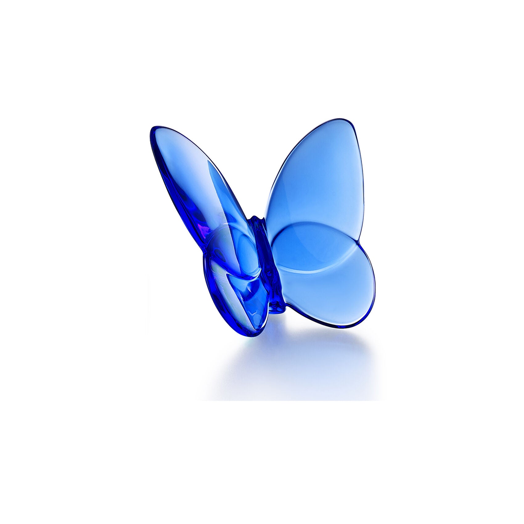 Farfalla Baccarat Blu
