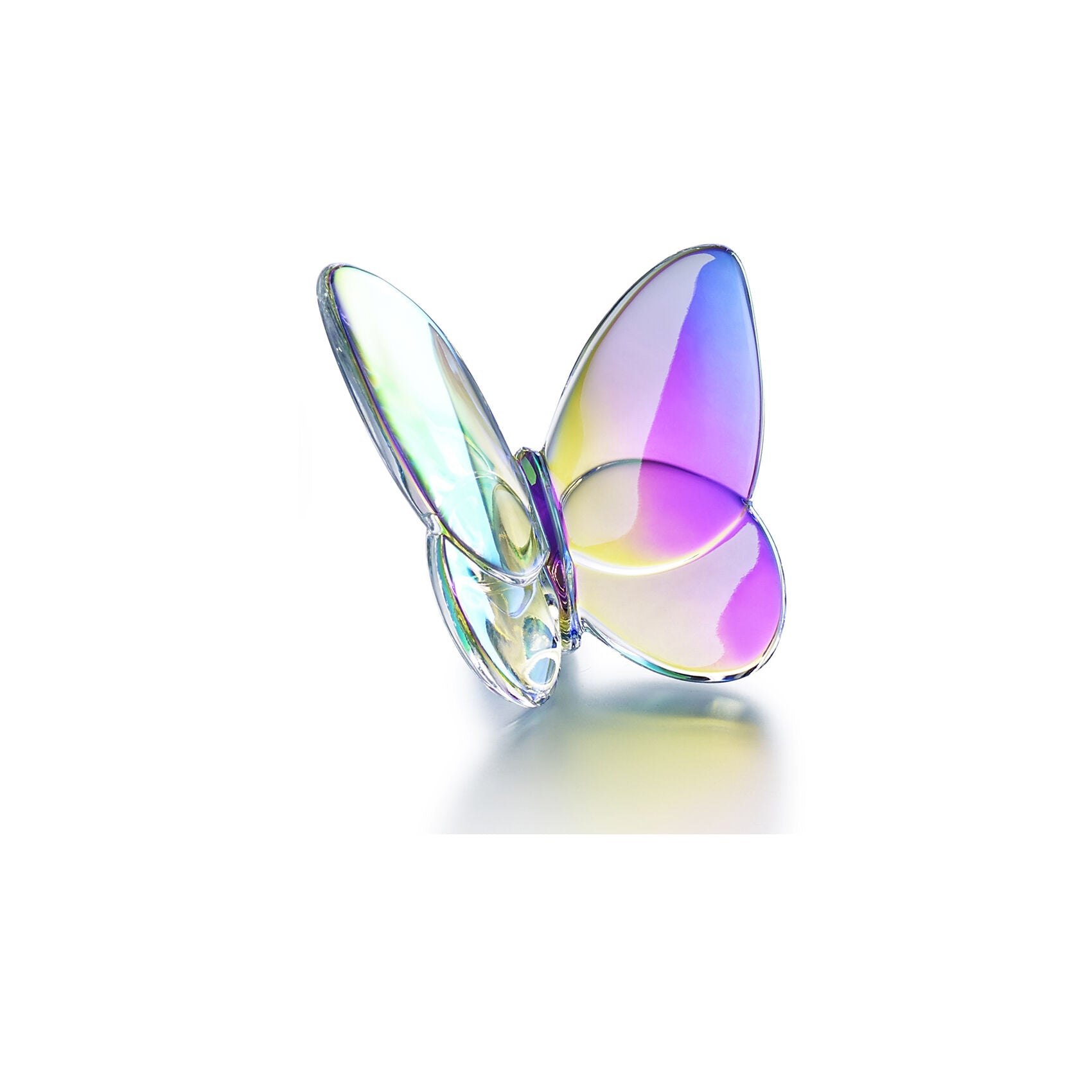Farfalla Baccarat Iridiscente