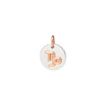 Charm Dodo Capricorno DMC2013-ZODCP-0009A