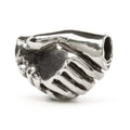 Trollbeads Amicizia TAGBE-40052