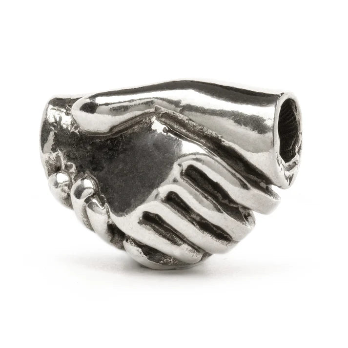 Trollbeads Amicizia TAGBE-40052
