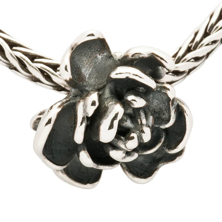 Trollbeads Rosa Angelica TAGPE-00003