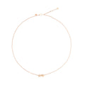 Collana Dodo Universe DCC4004-XSTAR-DB09R