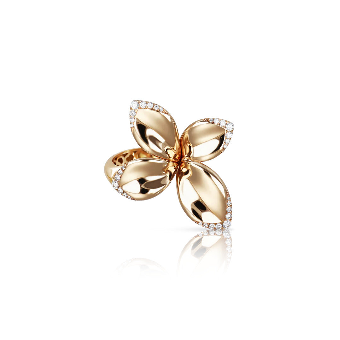 ANELLO PASQUALE BRUNI GIARDINI SEGRETI 16463R