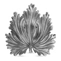 Foglia Acanto mis.II Buccellati