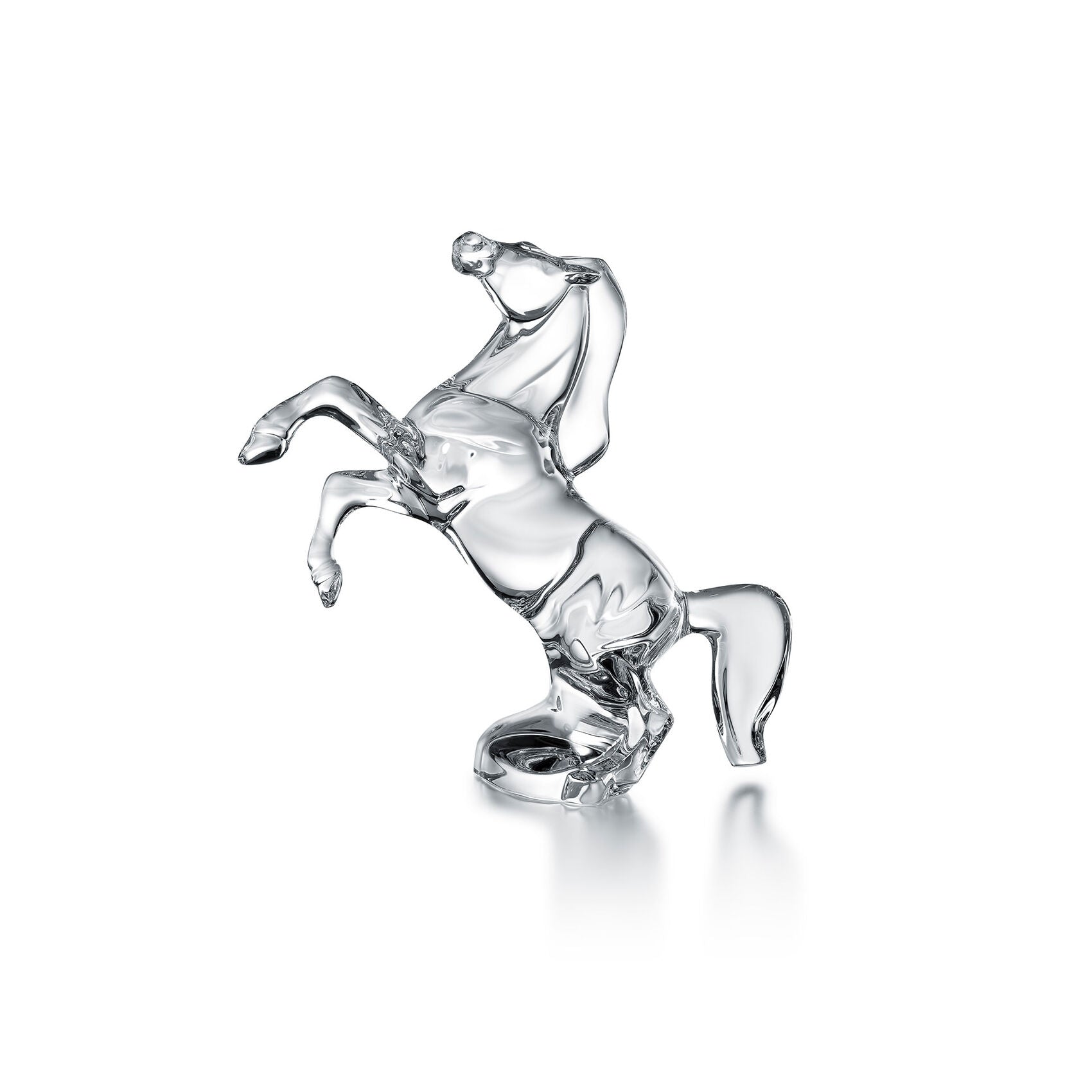 Baccarat Cavallo Imbizzarrito